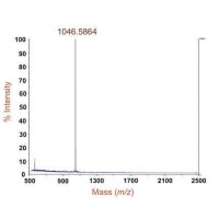 蛋白质分子量测定_质谱分析_百泰派克生物