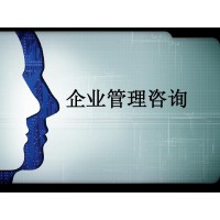 境内、境外公司注册